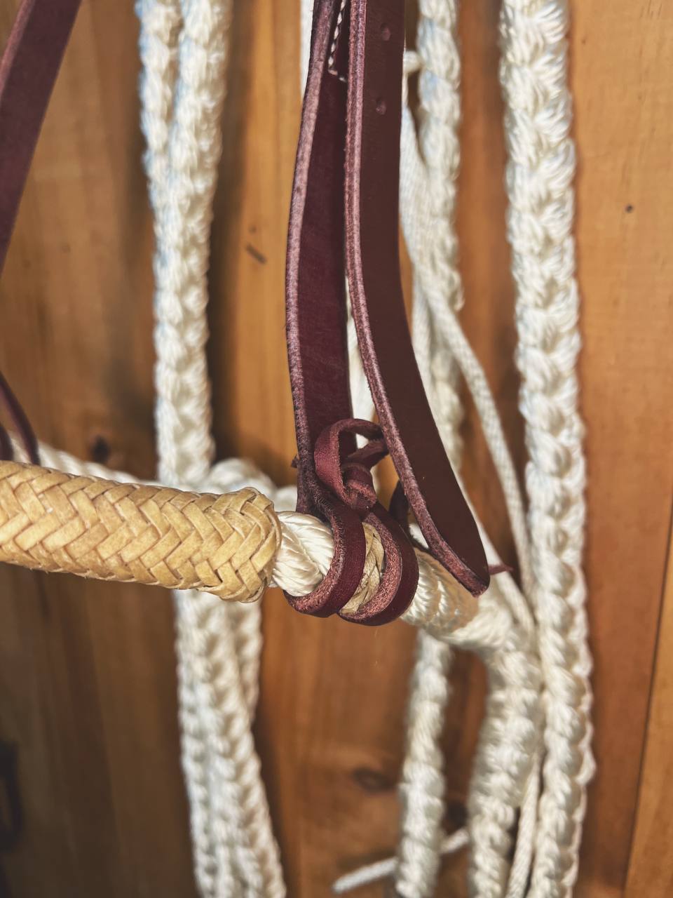 Nylon Hackamore with Reins