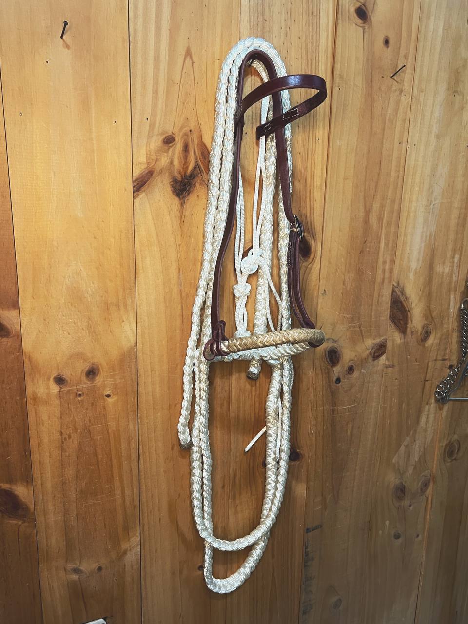 Nylon Hackamore with Reins