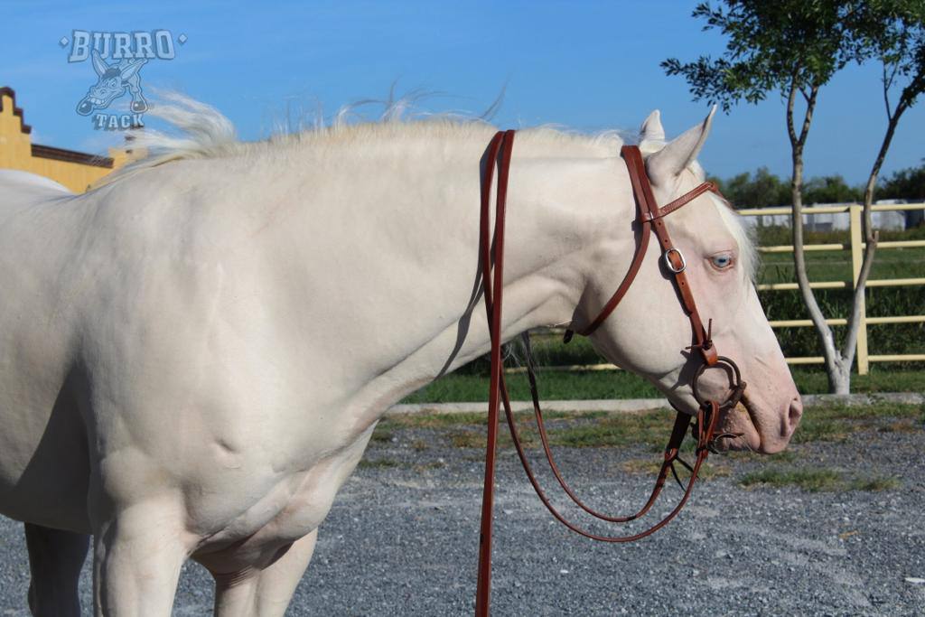 Old harness Split Reins Heavy Ends